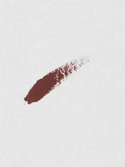 Delineador de labios brillante de PS…