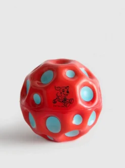 Pelota de Paw Patrol